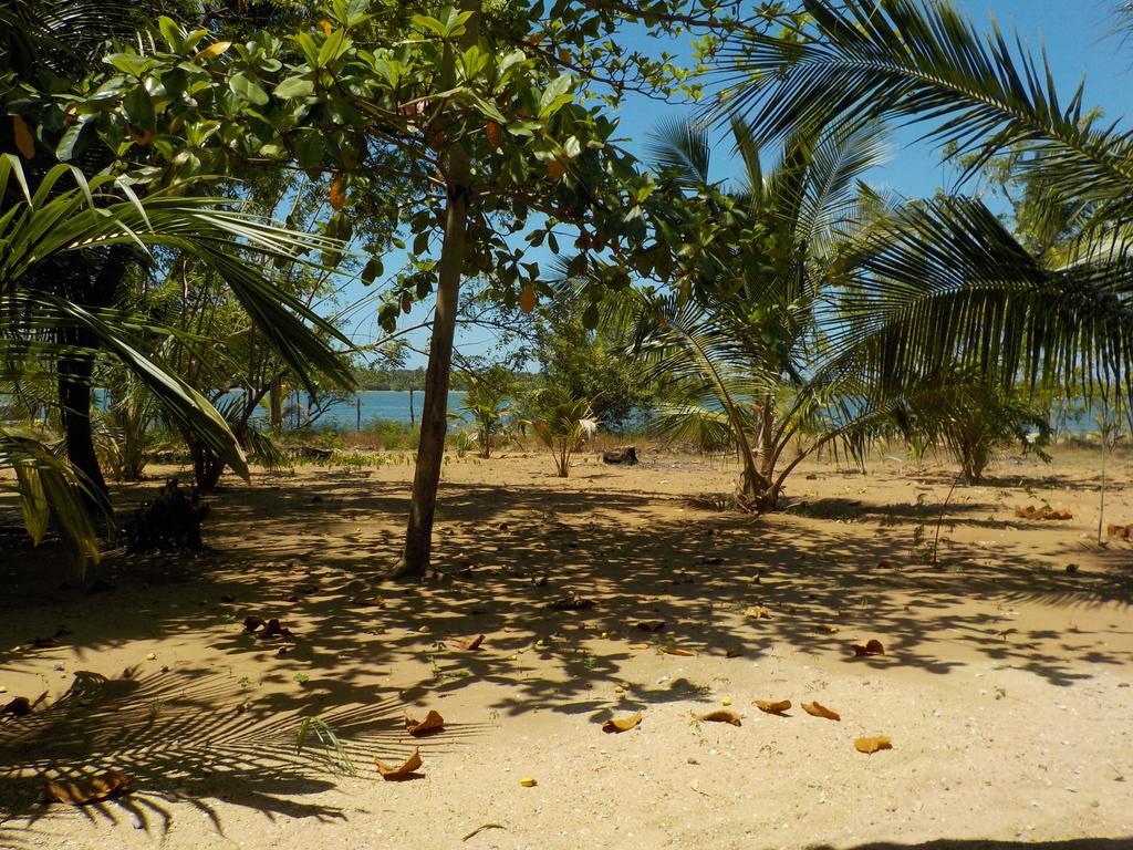 Reef Pasikudah Nachivantivu Exterior foto