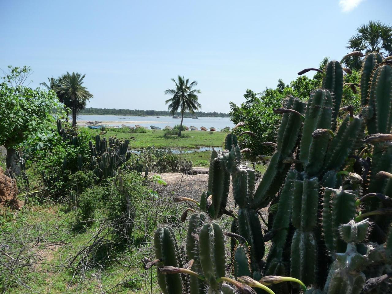 Reef Pasikudah Nachivantivu Exterior foto